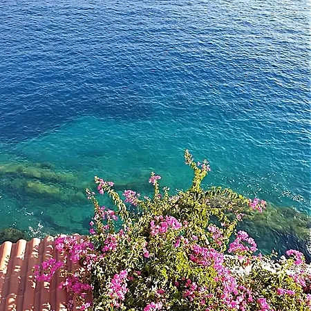 Paradise View